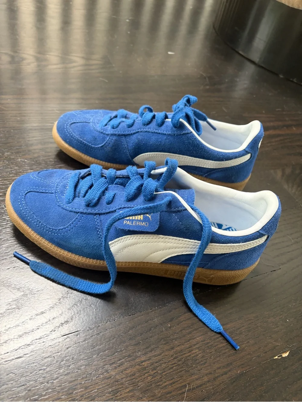 Puma Kids Palermo Blue Suede Sneakers with White Stripe